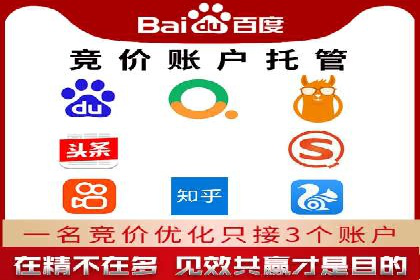 深度剖析：百度竞价推广代运营在某电商平台的成功实践